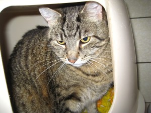 IMG_7295 (Andere)Max