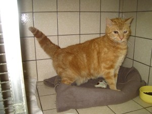 IMG_7326 (Andere)Emmi