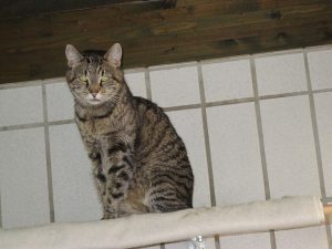 IMG_7472 (Andere)