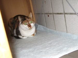 IMG_7476 (Andere)