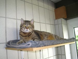 IMG_7478 (Andere)Sam