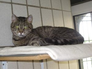 IMG_7479 (Andere)Sam