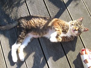 IMG_7614 (Andere)