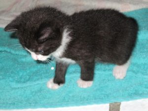 IMG_7514 (Andere)