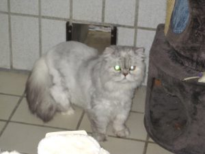 IMG_7586 (Andere)
