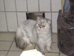 IMG_7587 (Andere)shaja