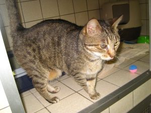 IMG_7625 (Andere)Lissy
