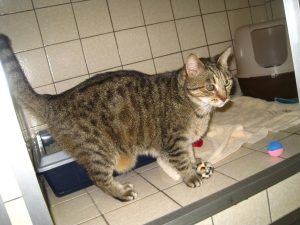 IMG_7628 (Andere)