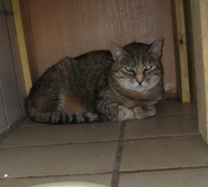 IMG_7634 (Andere)heidi