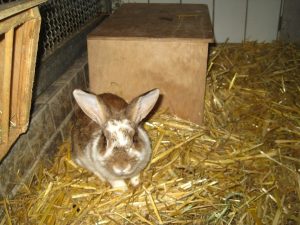 IMG_7745 (Andere)heidi