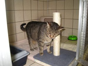 IMG_7773 (Andere)