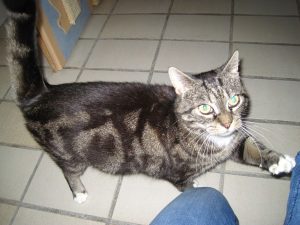 IMG_7804 (Andere)joe