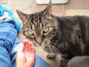 IMG_7839 (Andere)winnie