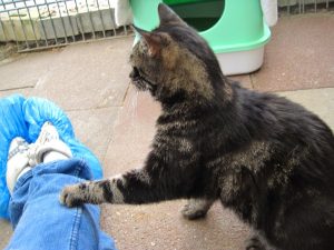IMG_7843 (Andere)winnie