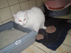 IMG_7864 (Andere)