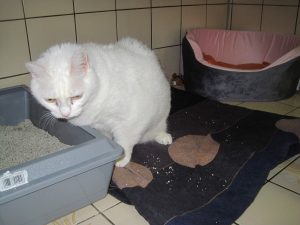 IMG_7866 (Andere)