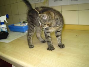 IMG_7981 (Andere)