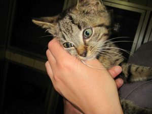 IMG_7984 (Andere)