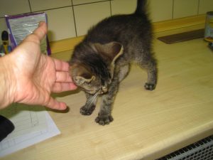 IMG_7989 (Andere)