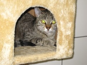 IMG_7992 (Andere)