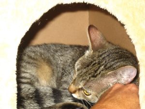 IMG_7994 (Andere)