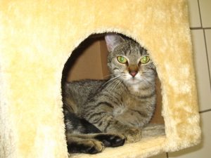 IMG_7996 (Andere)
