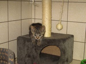 IMG_8035 (Andere)