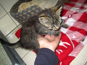 IMG_8038 (Andere)