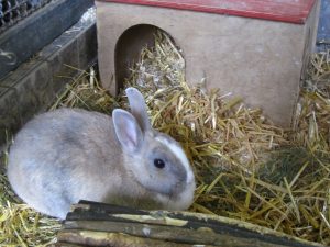 IMG_8113 (Andere)
