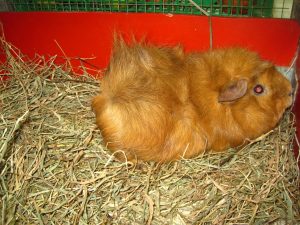 IMG_8118 (Andere)