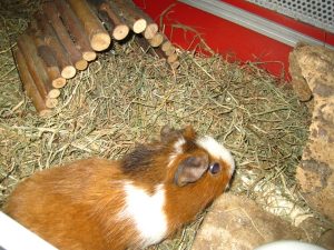 IMG_8122 (Andere)