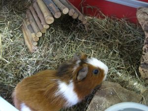 IMG_8123 (Andere)