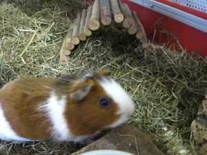 IMG_8124 (Andere)