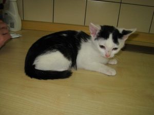 IMG_8144 (Andere)mini