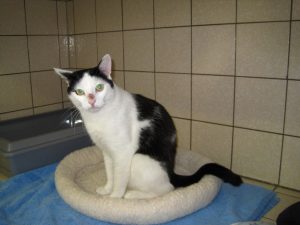 IMG_8147 (Andere)timmy