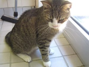 IMG_8162 (Andere)