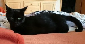 Luna3 (Andere)