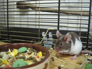 IMG_8291 (Andere)
