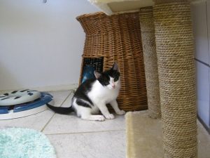 IMG_8312 (Andere)