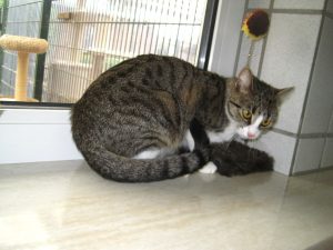 img_8342-andere