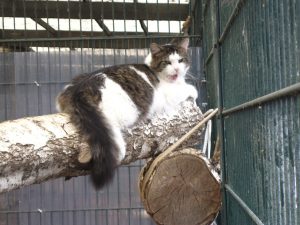 img_8350-anderefindus