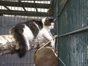 img_8351-anderefindus