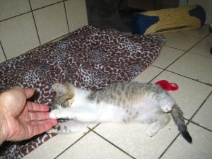 img_8378-andereamina