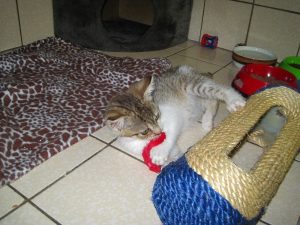 img_8381-andere