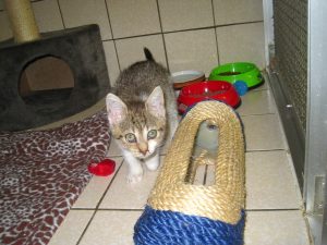 img_8385-andere