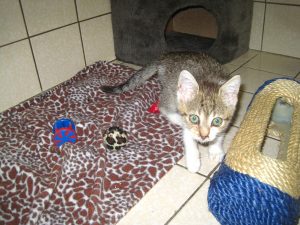 img_8386-andereamina
