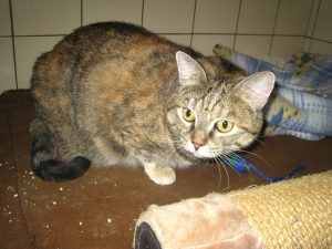 img_8403-andere