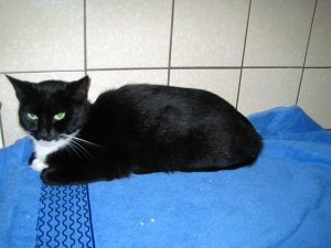 img_8404mausi-andere