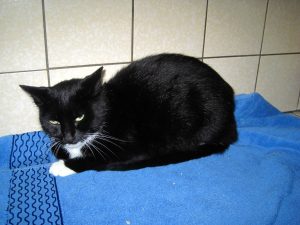 img_8405-andere