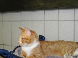 img_8419adam-andere